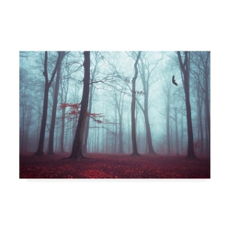 Dirk Wastenhagen 'Solstice In Fog' Canvas Art,22x32